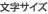 文字サイズ